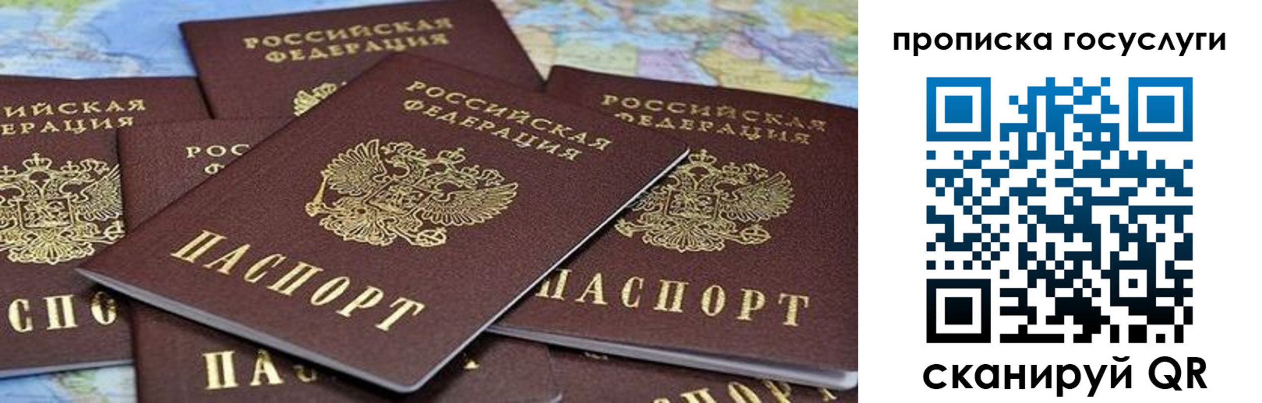 пропишу в квартире в ЕАО